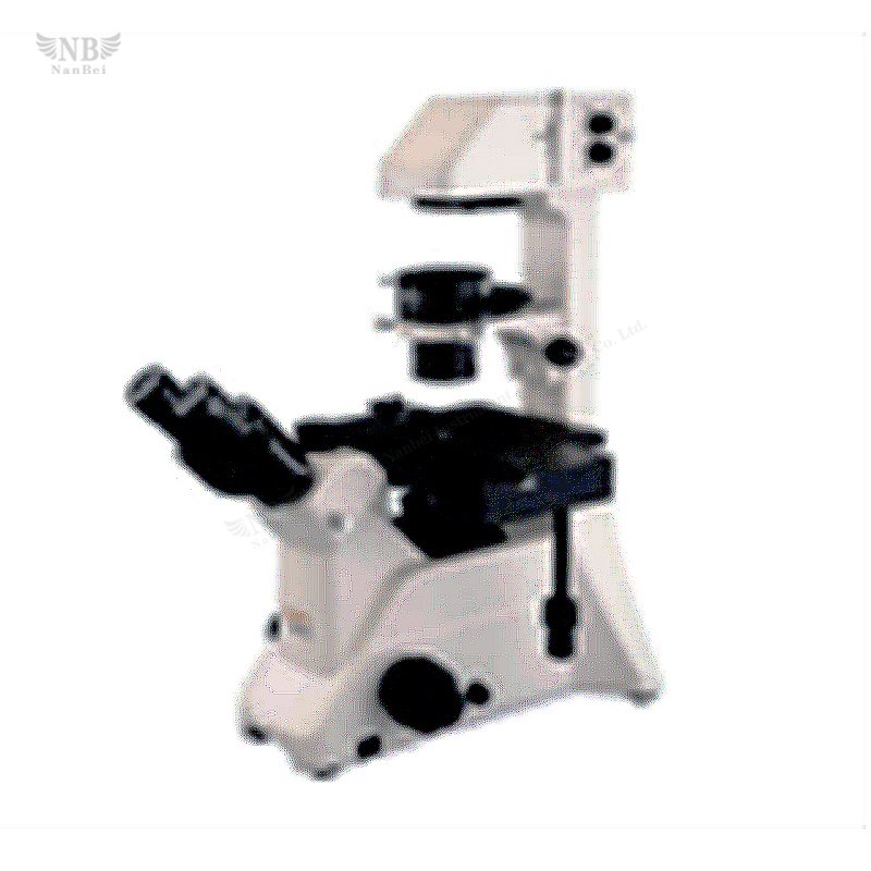 Microscópio Invertido BDS300