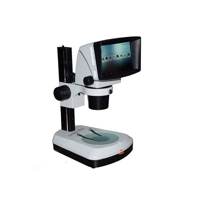 Microscópio estéreo 3D a olho nu