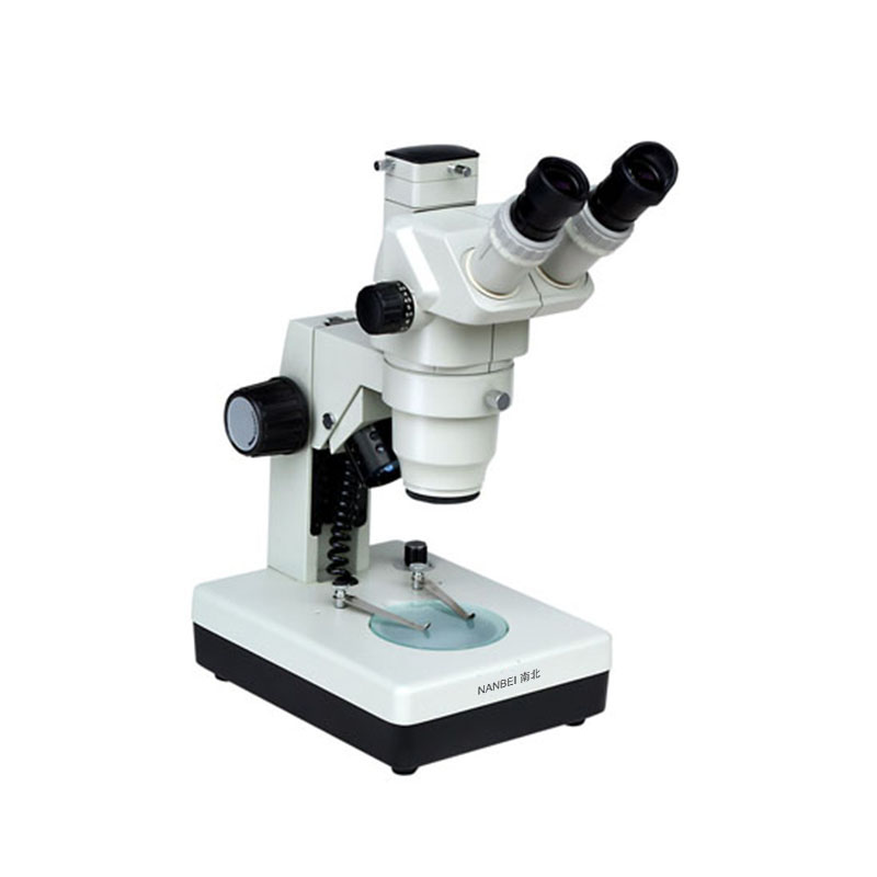 Microscopes stéréoscopiques GL6545TI