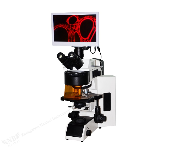 Microscopio a fluorescenza a LED