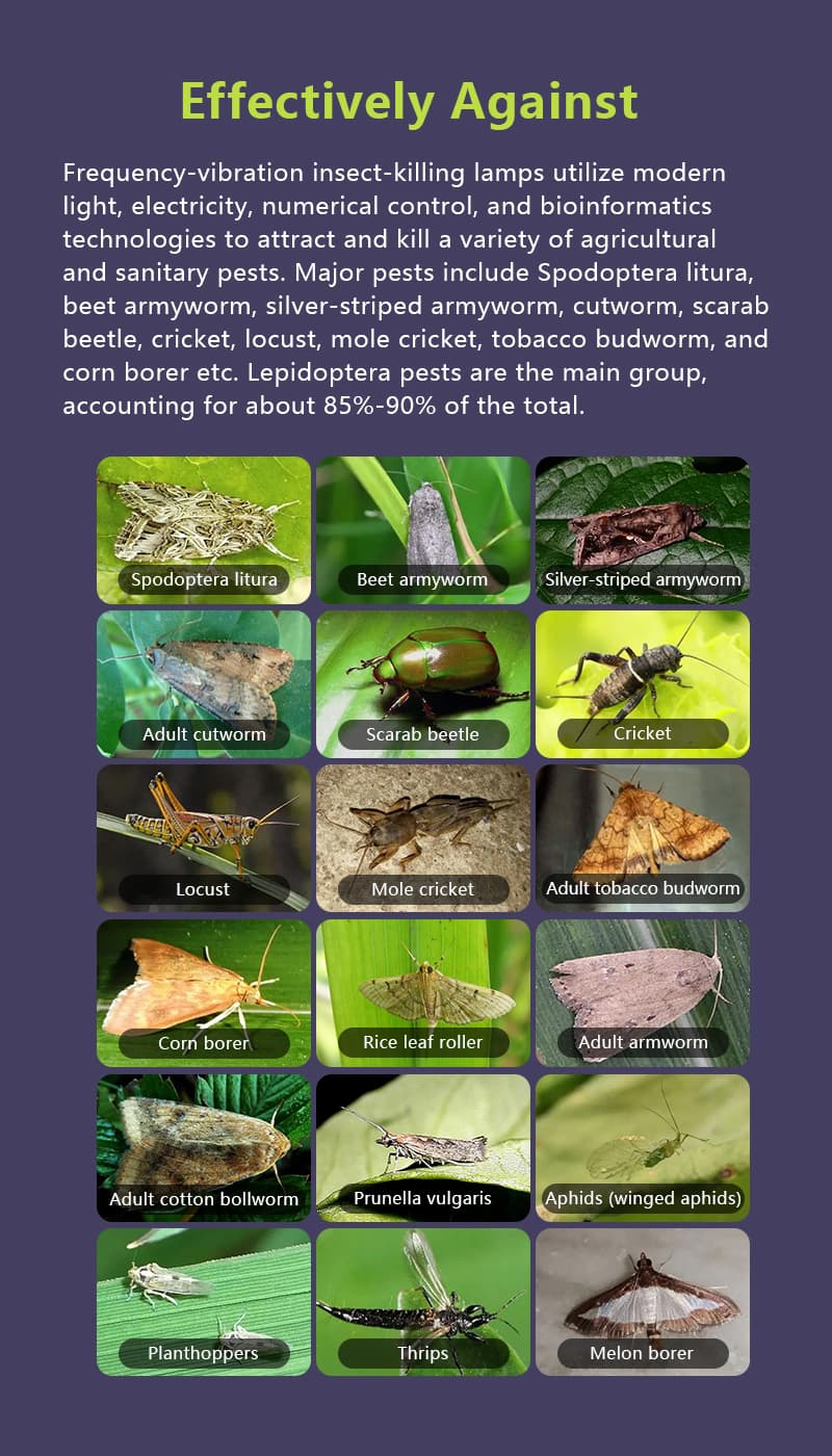 69d73bd786a5a.jpg N12详情05-英文.jpg